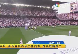 半岛体育APP-巴伦西亚球队怎么样