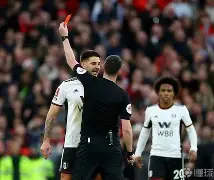 半岛体育官网-意甲引援规则